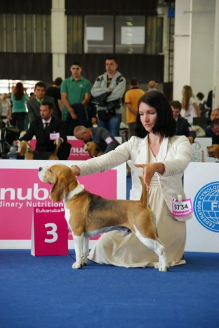 Budapeszt - WDS - Fred - ex.3